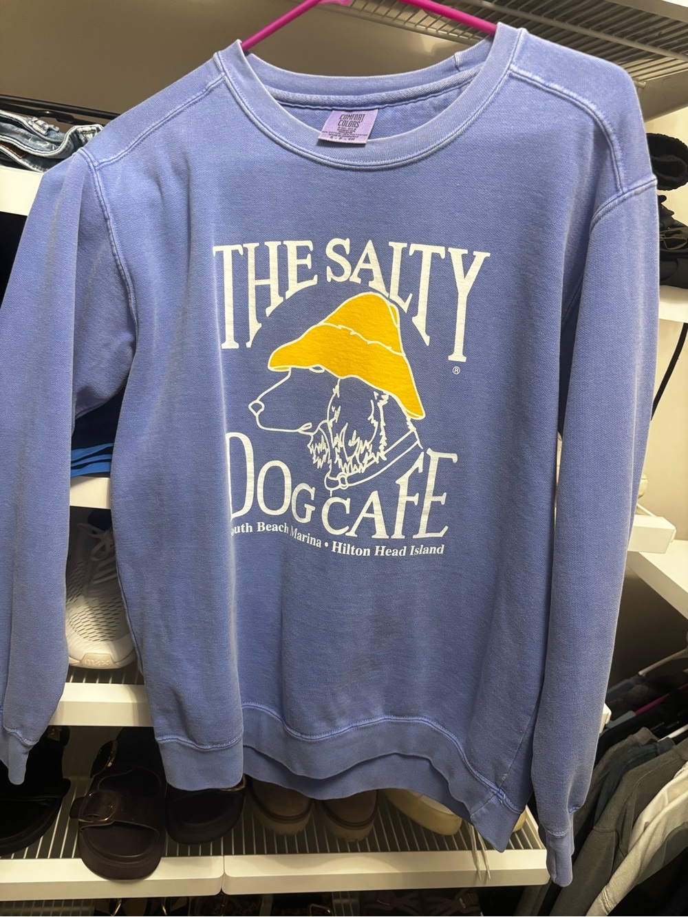 Salty Dog Sweatshirt comfort colors
